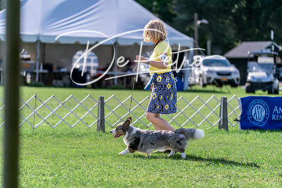 20240630-DSC04950