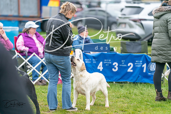 20240428-DSC00009