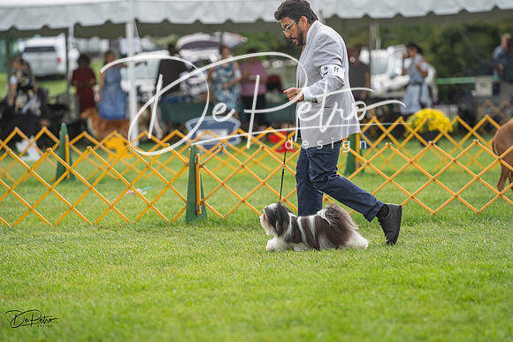 20230909-DSC00228