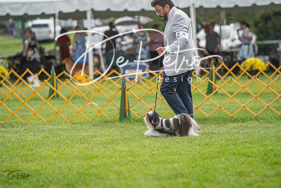 20230909-DSC00229