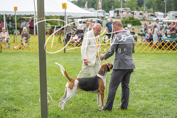 20230909-DSC00330