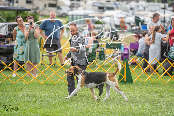 20230909-DSC00350
