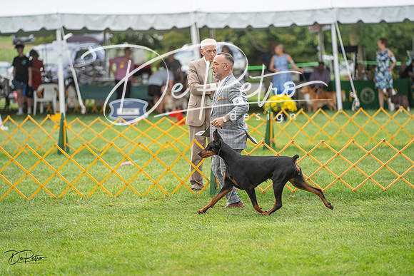 20230909-DSC00460