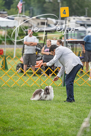 20230909-DSC00512
