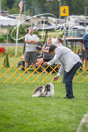 20230909-DSC00513