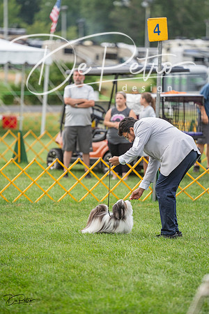 20230909-DSC00515