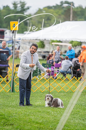 20230909-DSC00556