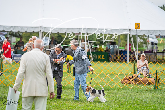 20230909-DSC00576
