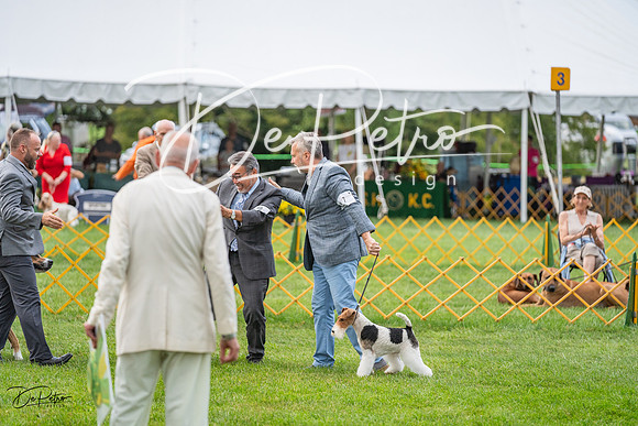 20230909-DSC00578