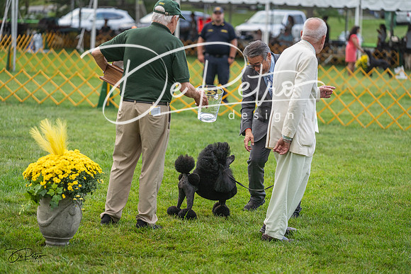 20230909-DSC00588