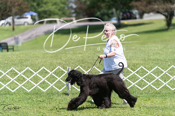 20240630-DSC01826