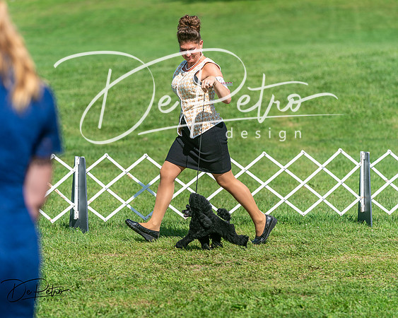 20250629-DSC01039