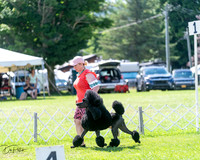 20240630-DSC02422