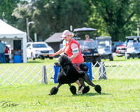 20240630-DSC02412