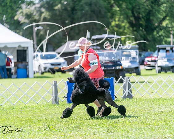 20240630-DSC02412