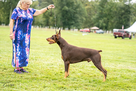 20230910-DSC02018