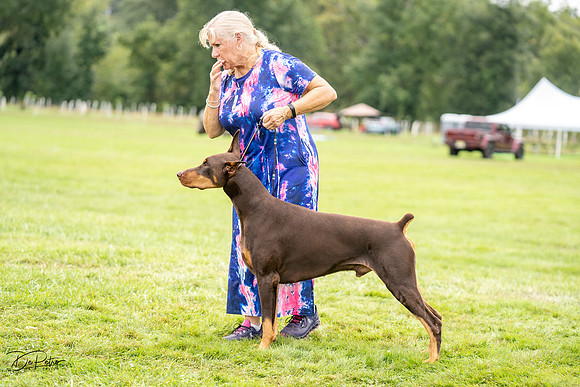 20230910-DSC02111