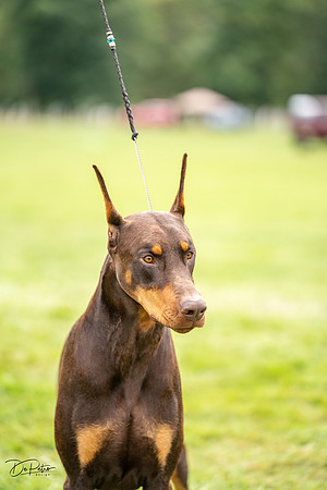 20230910-DSC02342