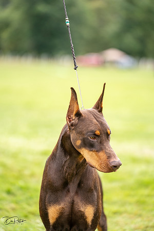 20230910-DSC02361