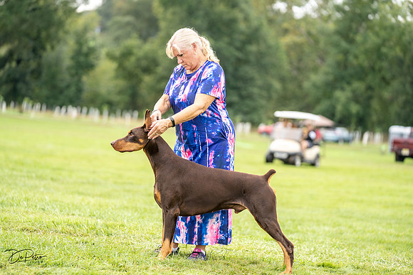 20230910-DSC01911