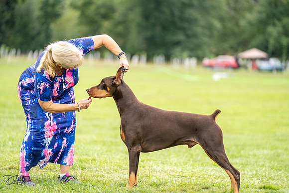 20230910-DSC01927