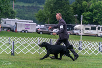 20250626-DSC02353