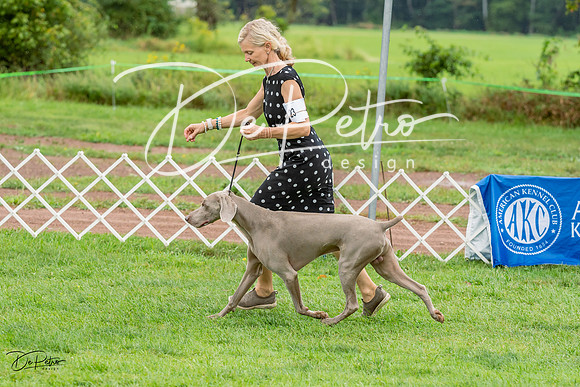 20230910-DSC00671