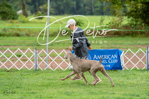 20230910-DSC00679