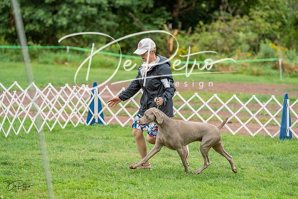 20230910-DSC00694