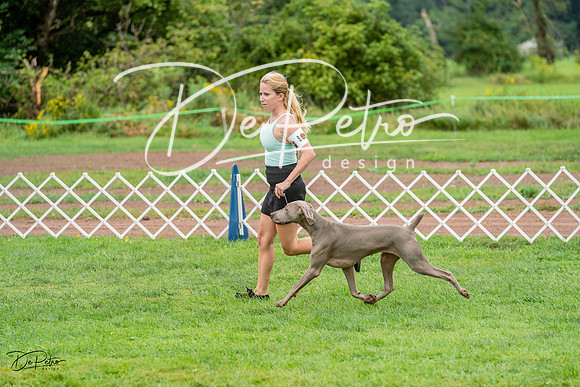 20230910-DSC00709