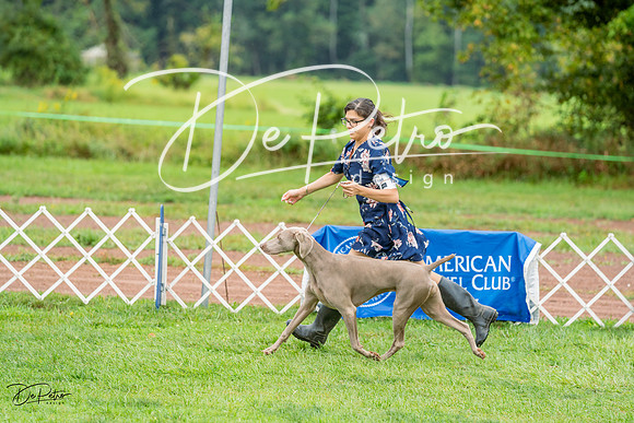 20230910-DSC00729
