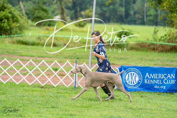 20230910-DSC00731