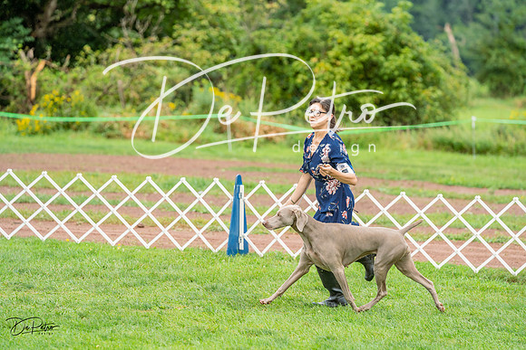 20230910-DSC00738