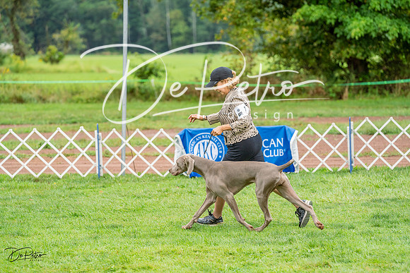 20230910-DSC00756