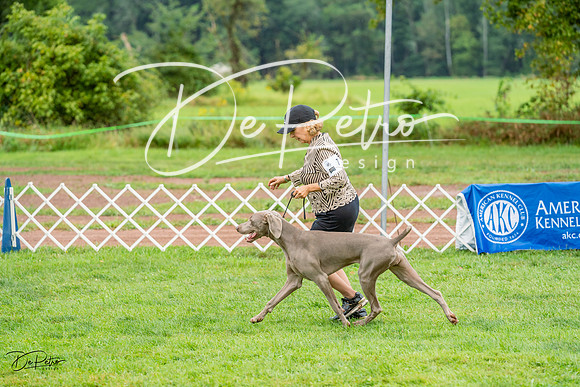 20230910-DSC00761