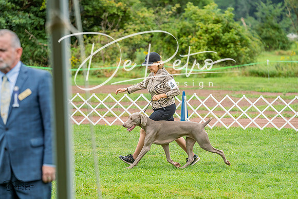 20230910-DSC00769