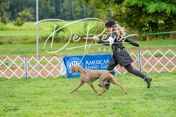 20230910-DSC00773