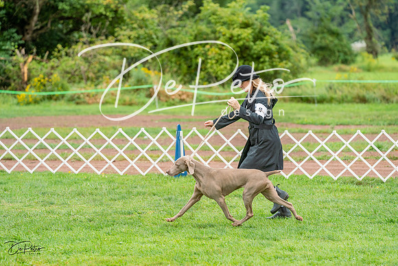 20230910-DSC00782
