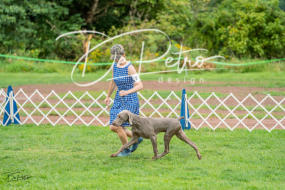 20230910-DSC00789