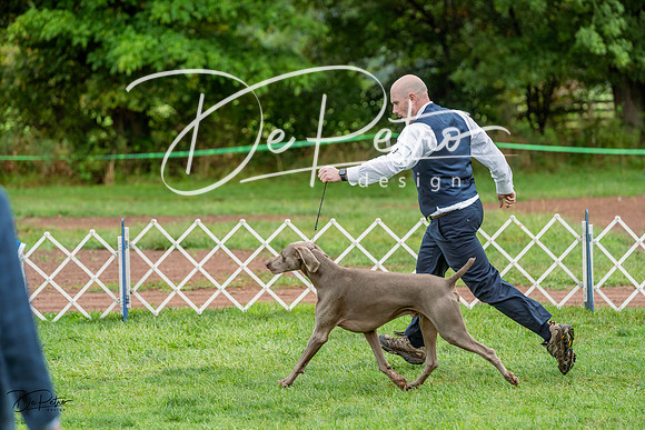 20230910-DSC00805