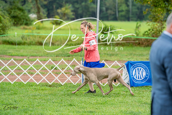 20230910-DSC00834