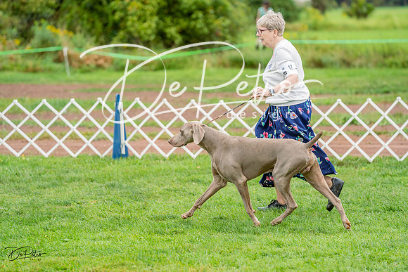 20230910-DSC00853