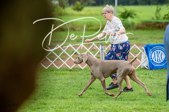 20230910-DSC00848