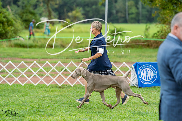 20230910-DSC00863