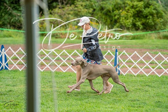 20230910-DSC00913