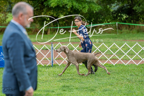 20230910-DSC00942