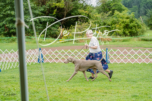 20230910-DSC00619
