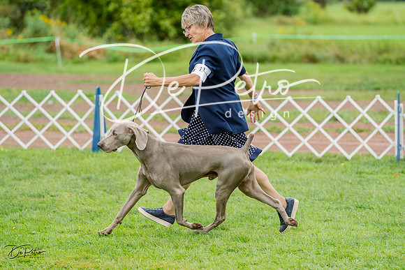 20230910-DSC00646
