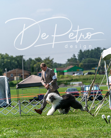 20240816-DSC00541