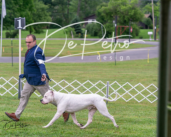 20250626-DSC04263